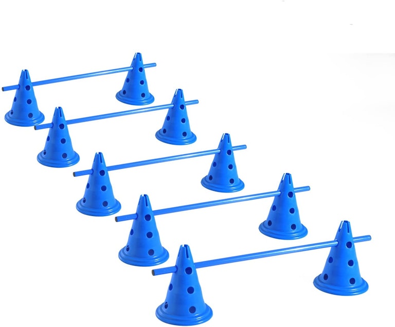 Dog Agility Equipment For Training Your Dog 2021